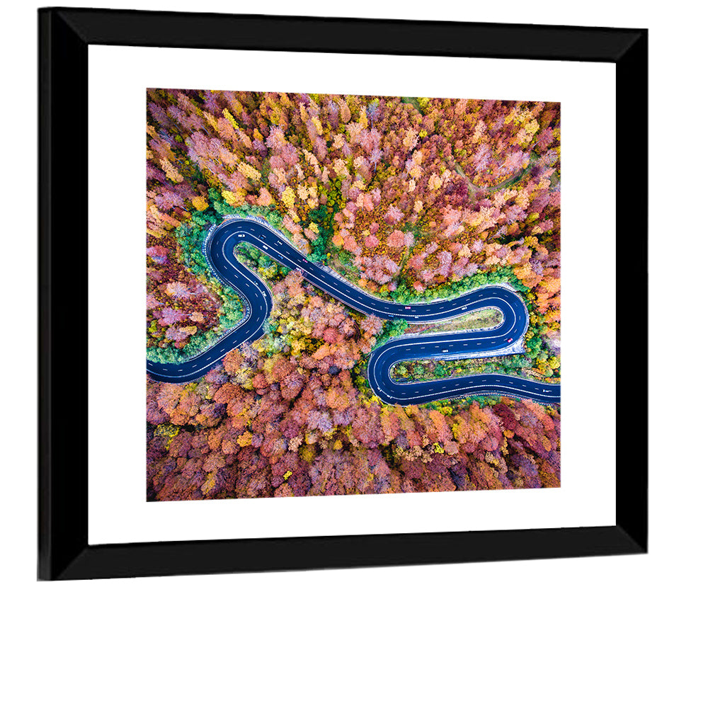 Aerial Winding Road Wall Art