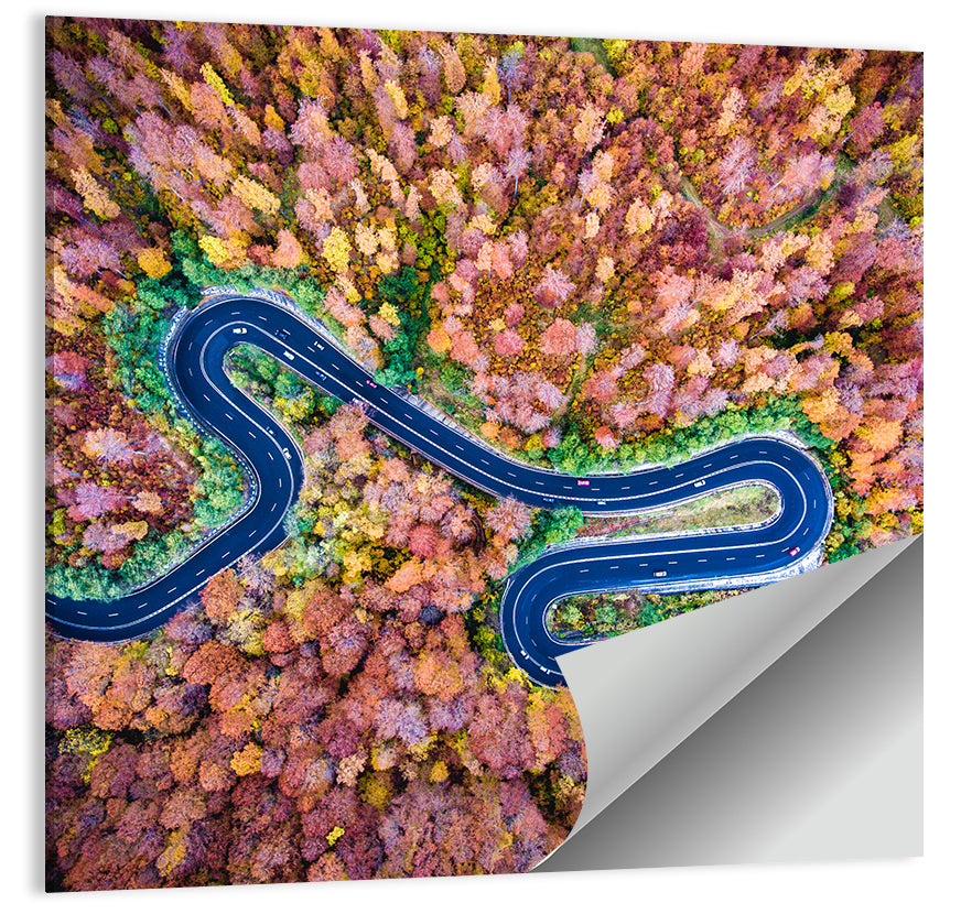Aerial Winding Road Wall Art
