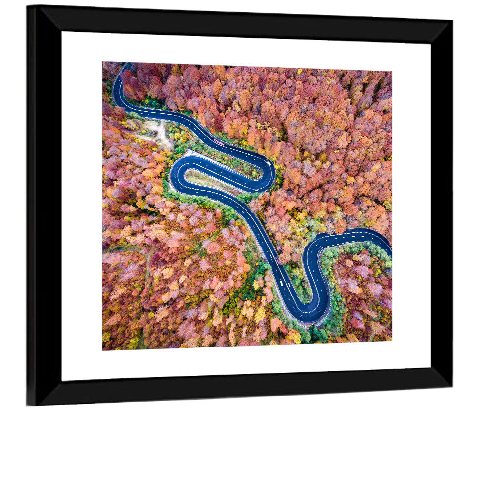 Serpentine Autumn Road Wall Art