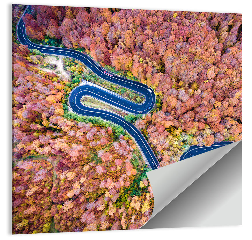 Winding Autumn Road Wall Art