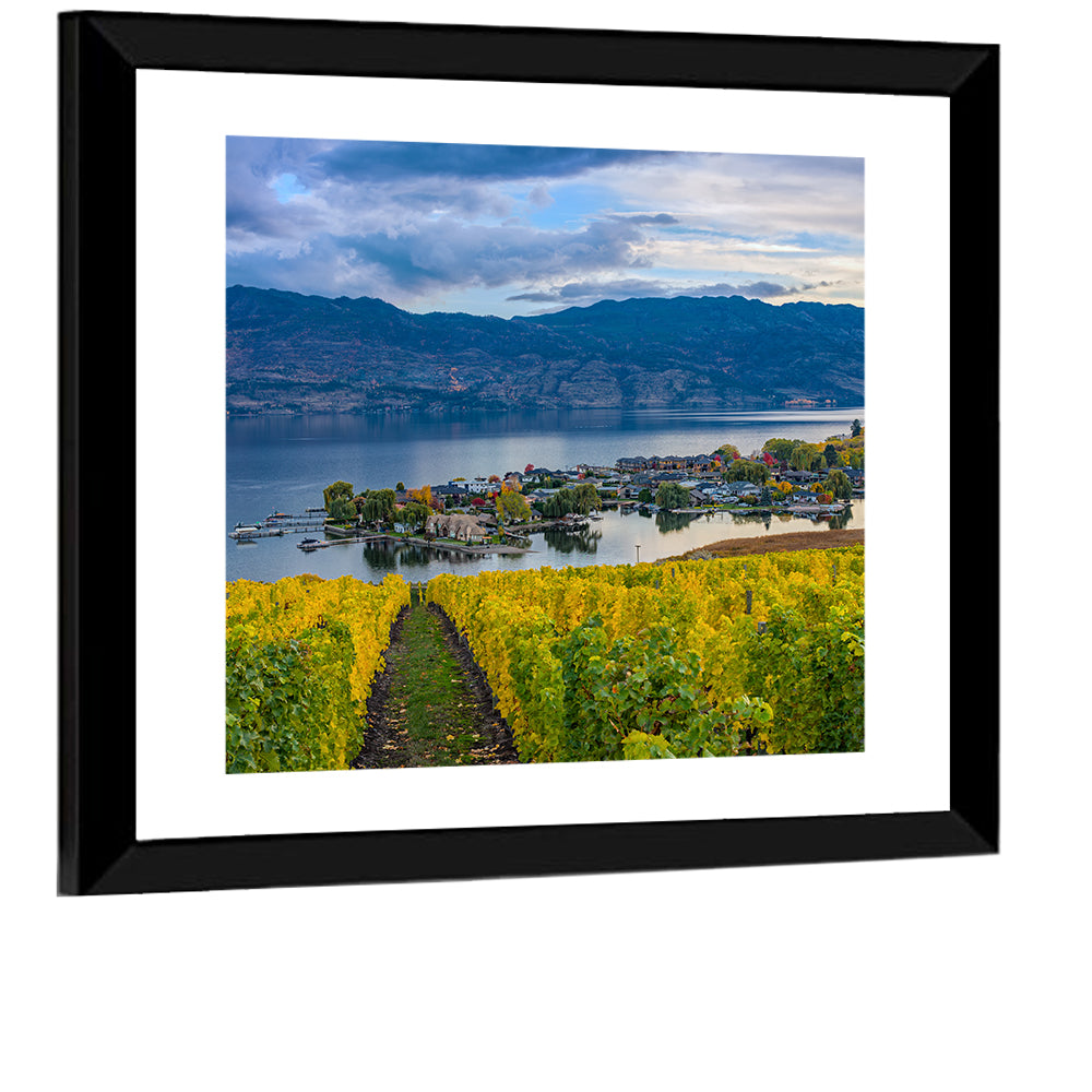 Okanagan Lake Vineyard, Kelowna Wall Art