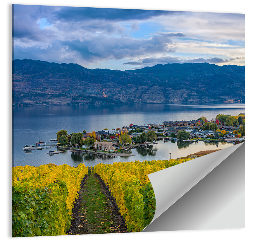 Okanagan Lake Vineyard, Kelowna Wall Art