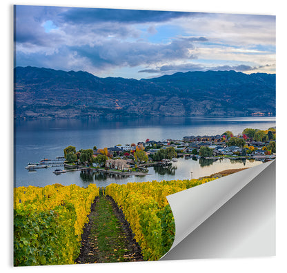 Okanagan Lake Vineyard, Kelowna Wall Art