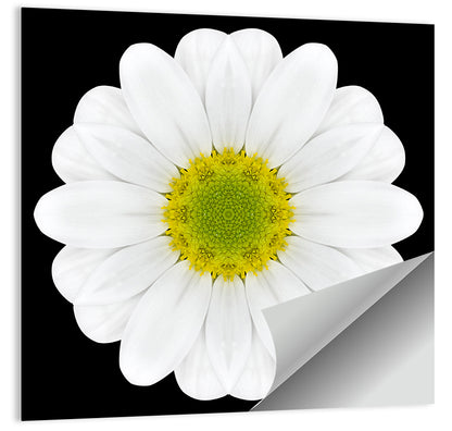 High Contrast Daisy Mandala Pattern Wall Art