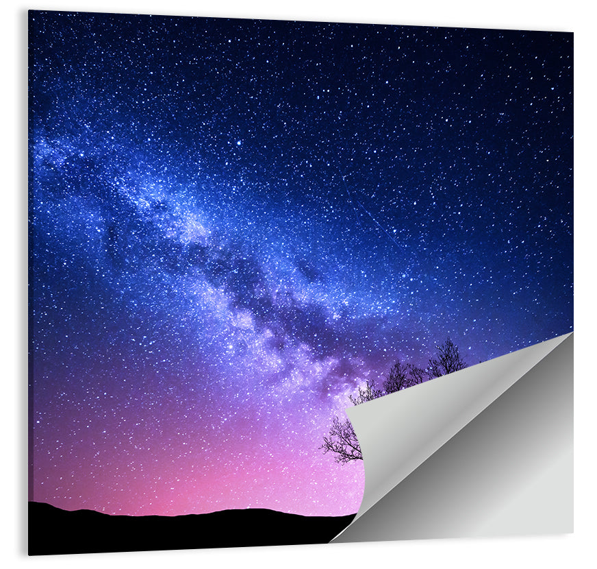 Milky Way Nebula Sky with Silhouetted Trees Wall Art