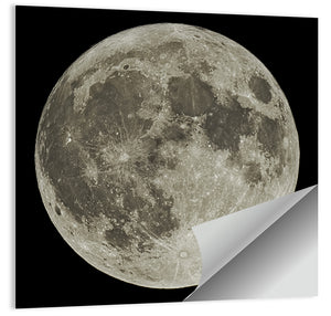 Full Moon Wall Art