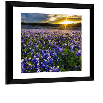 Bluebonnet Field Texas Wall Art