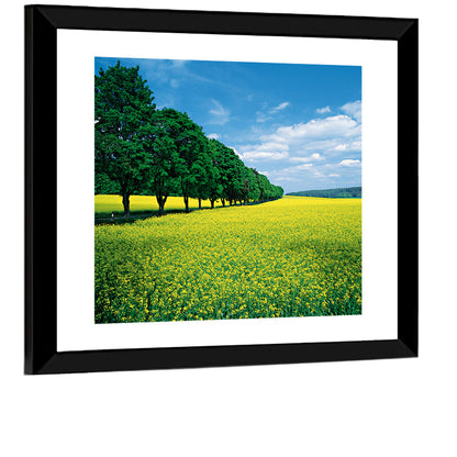 Spring Field of Yellow Flowers Wall Art