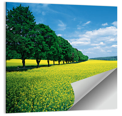 Spring Field of Yellow Flowers Wall Art