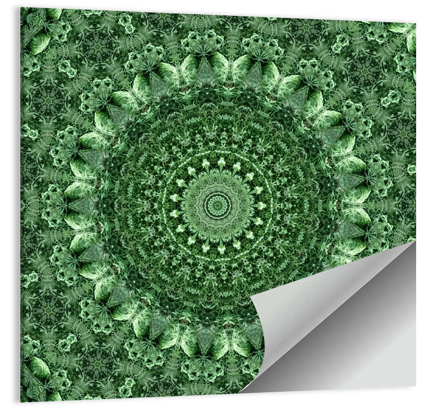 Green Botanical Kaleidoscope Mandala Wall Art