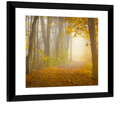 Cuyahoga Valley Autumn Path Wall Art
