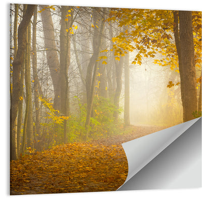 Cuyahoga Valley Autumn Path Wall Art