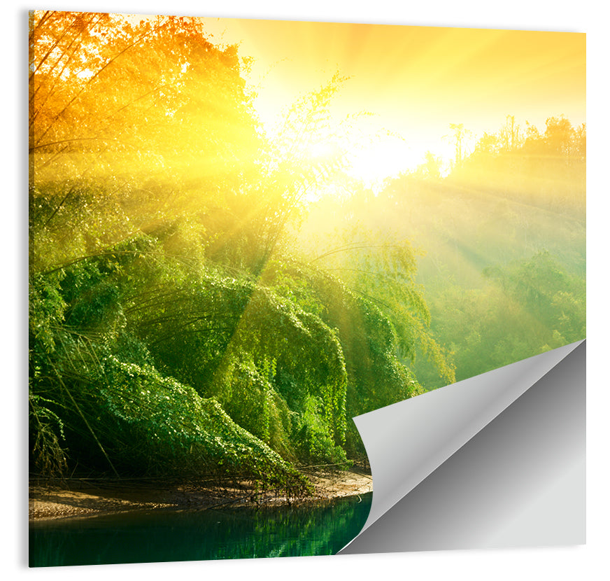 Golden Bamboo Riverbank Wall Art