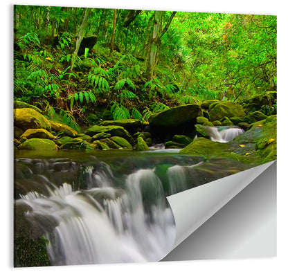 Emerald Jungle Stream Wall Art