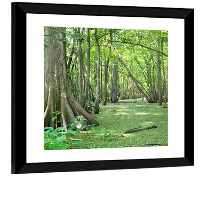 Summer Cypress Bayou, Louisiana Wall Art