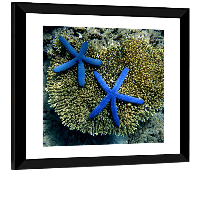 Blue Starfish Wall Art as a framed print