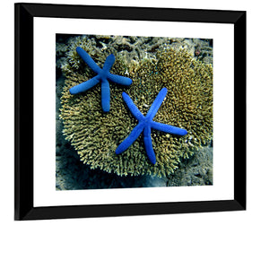 Blue Starfish Wall Art