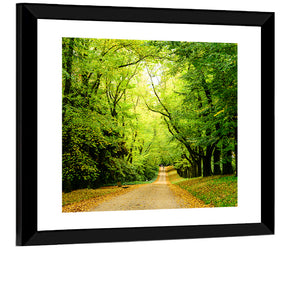 Forest Illuminated Pathway Wall Art