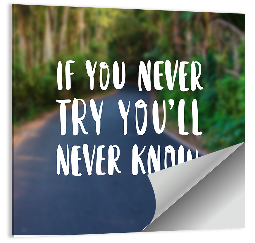 If You Never Try You’ll Never Know Quote Wall Art
