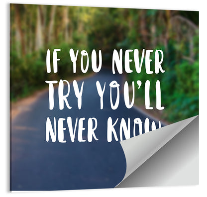 If You Never Try You’ll Never Know Quote Wall Art