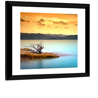 Gnarled Driftwood at Turquoise Lake Wall Art