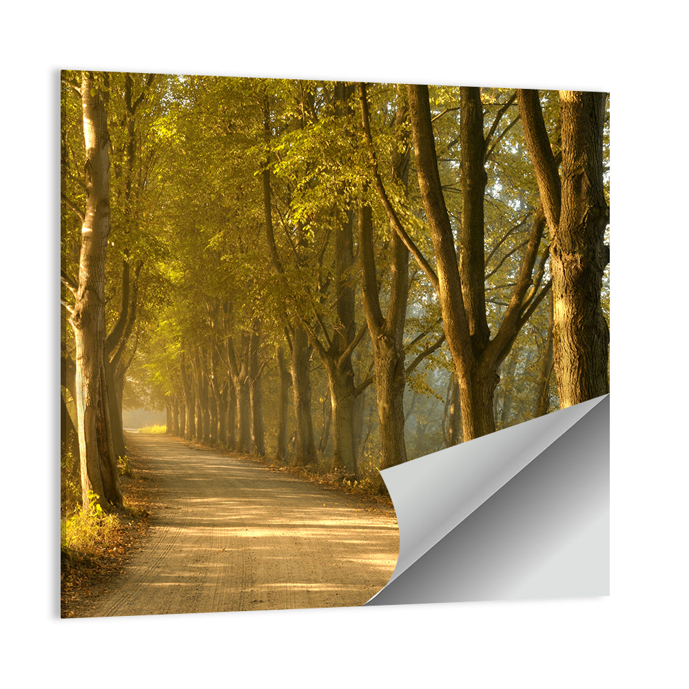 Autumn Road Through Golden Forest Wall Art