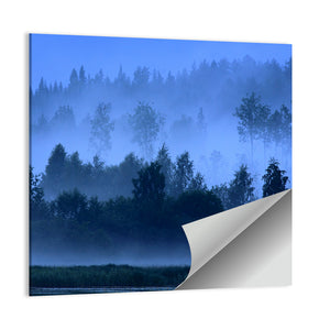 Finnish Foggy Night Wall Art