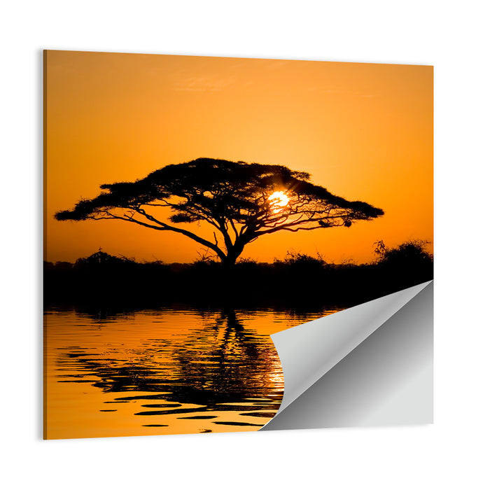 Acacia Tree at Sunrise Wall Art as a poster print