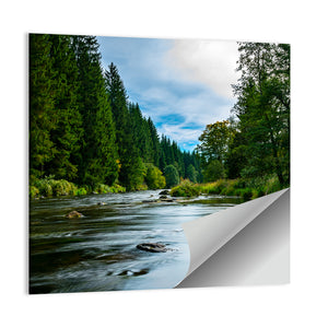 Bavarian Forest River Wall Art