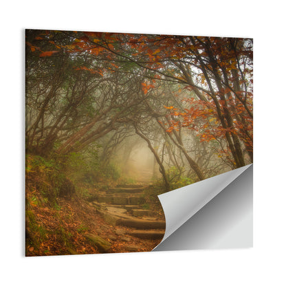 Craggy Garden Path Wall Art