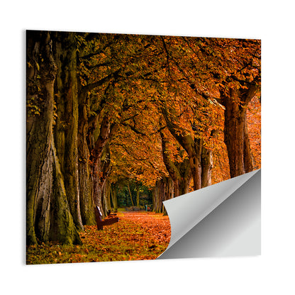 Autumn Forest Pathway Wall Art