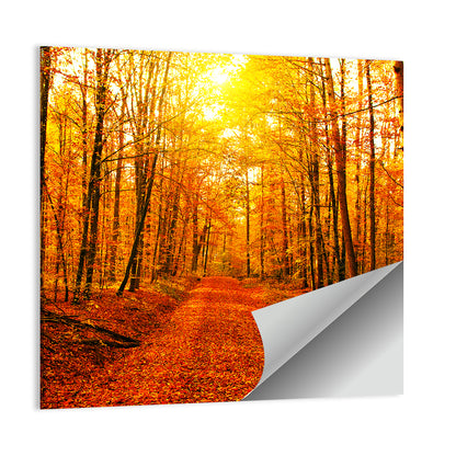 Golden Autumn Forest Path Wall Art