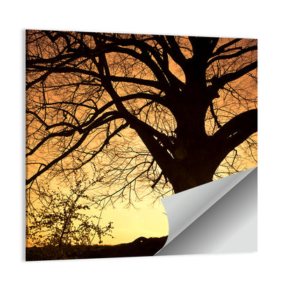 Willow Tree Sunset Wall Art