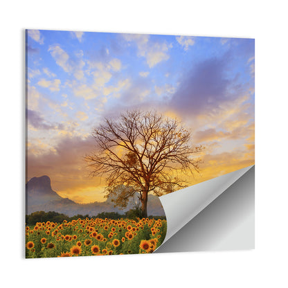 Sunflower Field at Sunset Wall Art