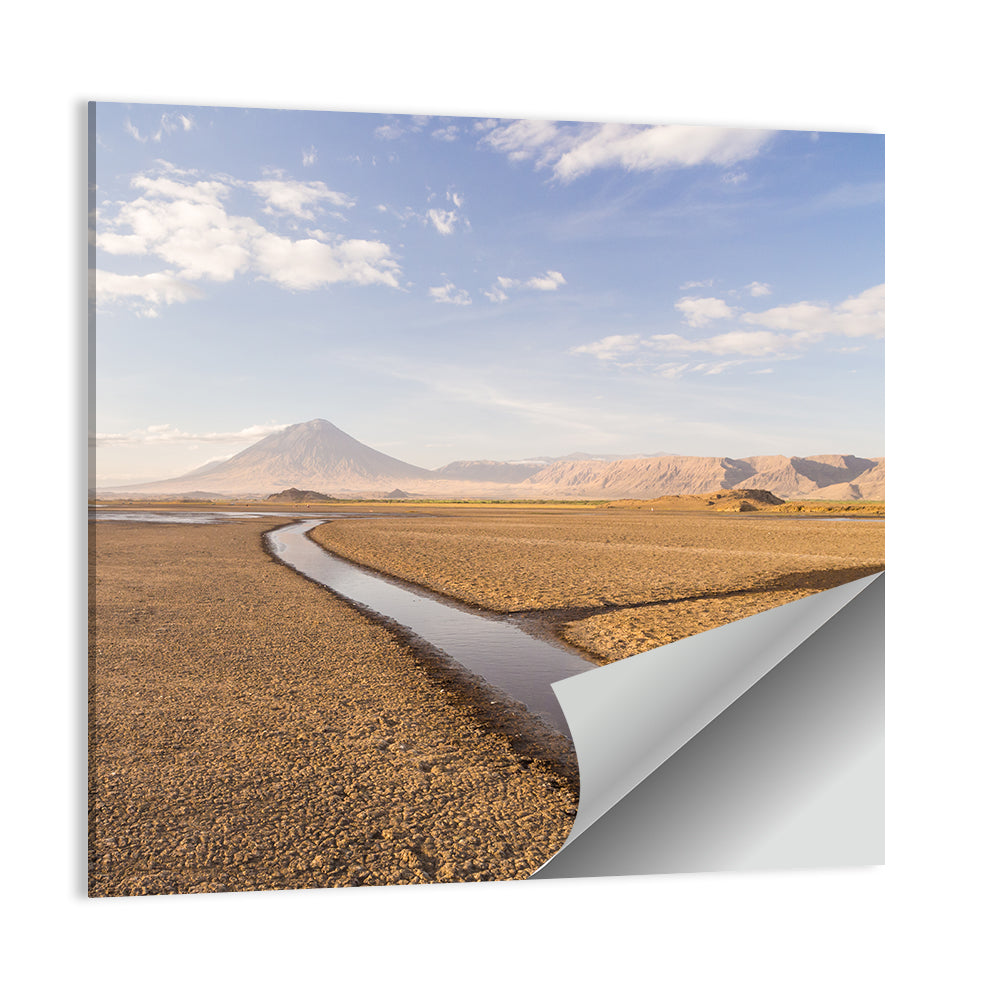Lake Natron with Ol Doinyo Lengai Wall Art