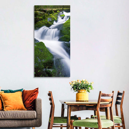 Olympic National Park Waterfall Wall Art