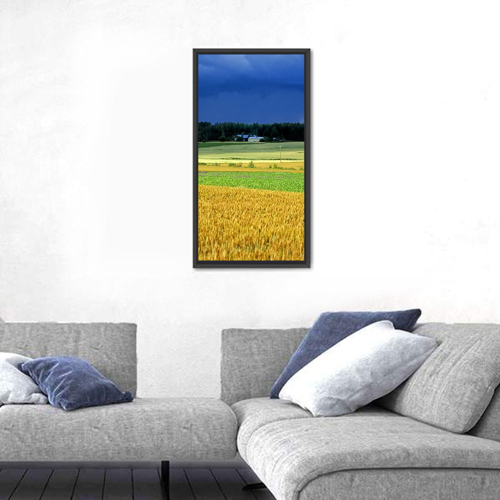 Cornfields Under Stormy Sky Wall Art