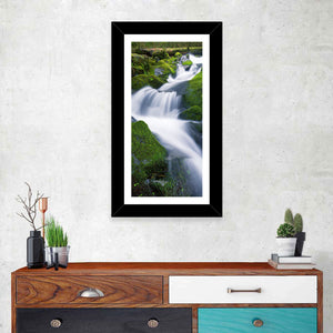 Waterfall in Olympic National Park Wall Art