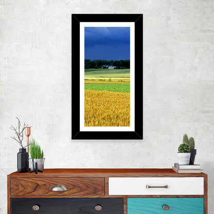 Cornfields Under Stormy Sky Wall Art