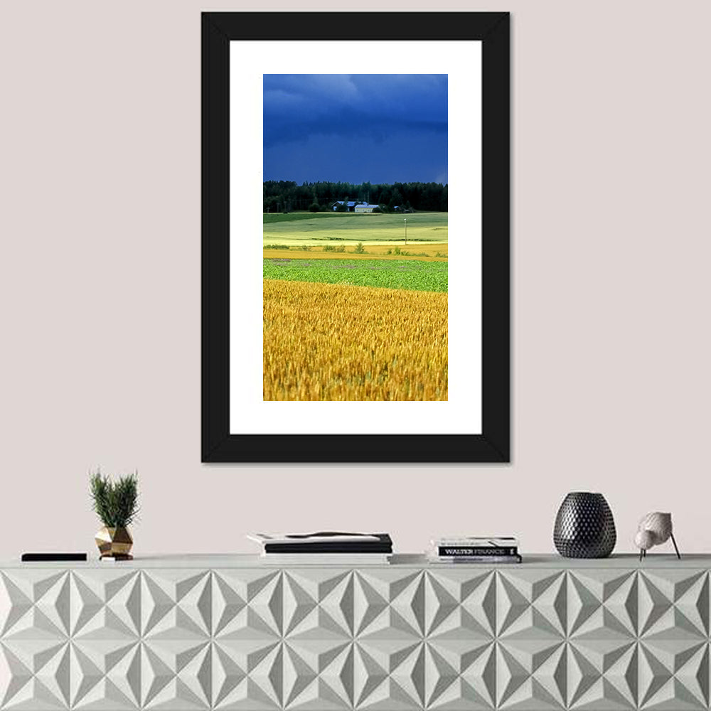 Cornfields Under Stormy Sky Wall Art
