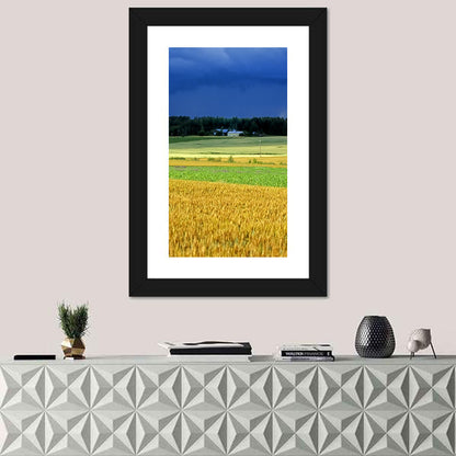 Cornfields Under Stormy Sky Wall Art