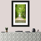 Sunlit Tree-lined Path Wall Art