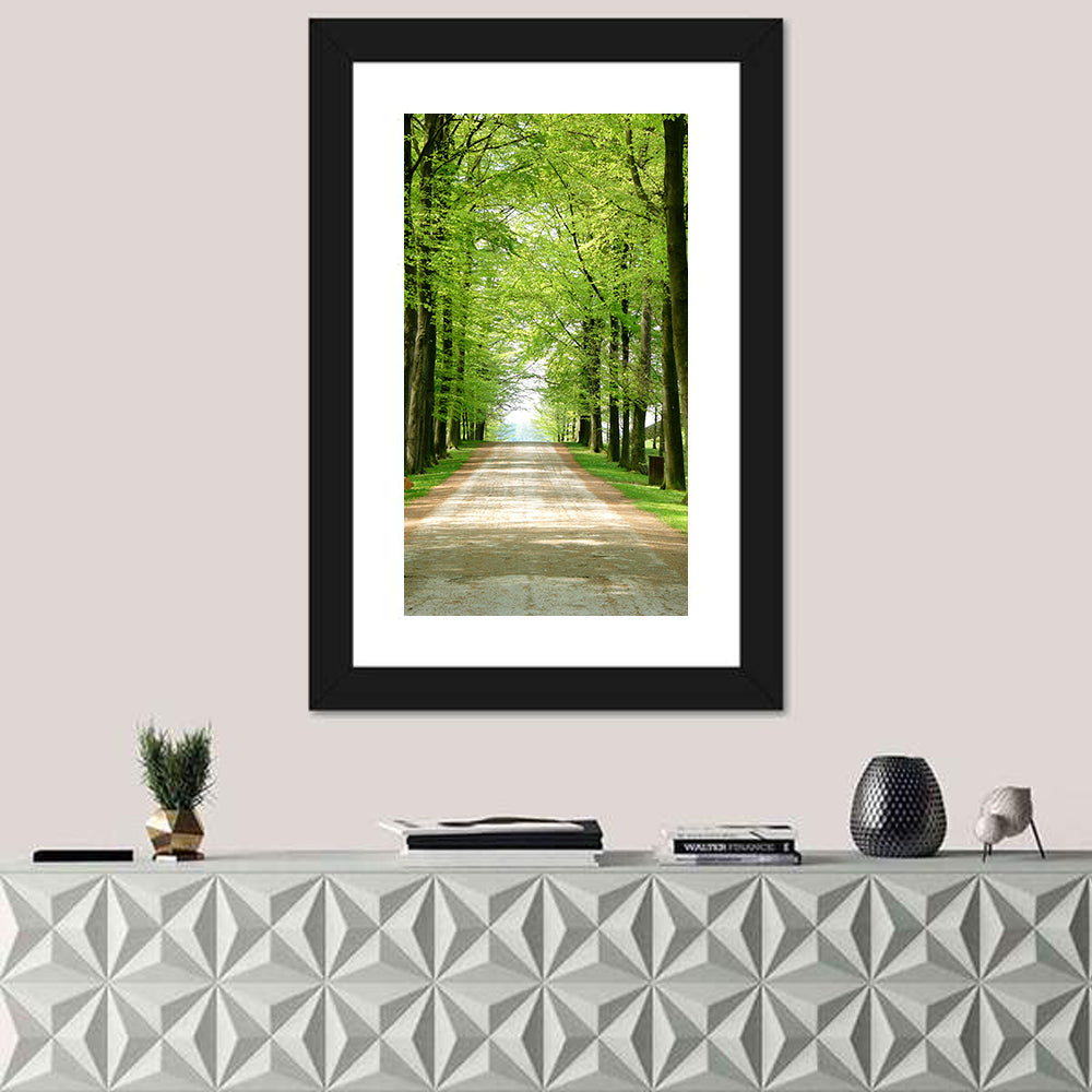 Sunlit Tree-lined Path Wall Art