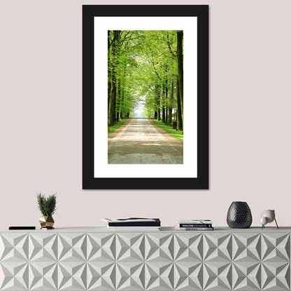 Sunlit Tree-lined Path Wall Art