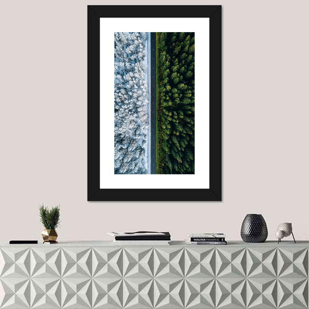 Summer and Winter Forests Wall Art