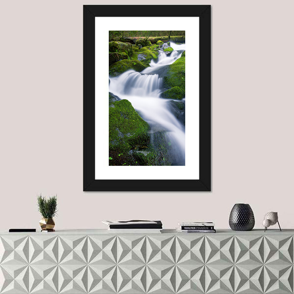 Olympic National Park Waterfall Wall Art