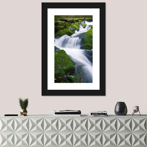 Waterfall in Olympic National Park Wall Art