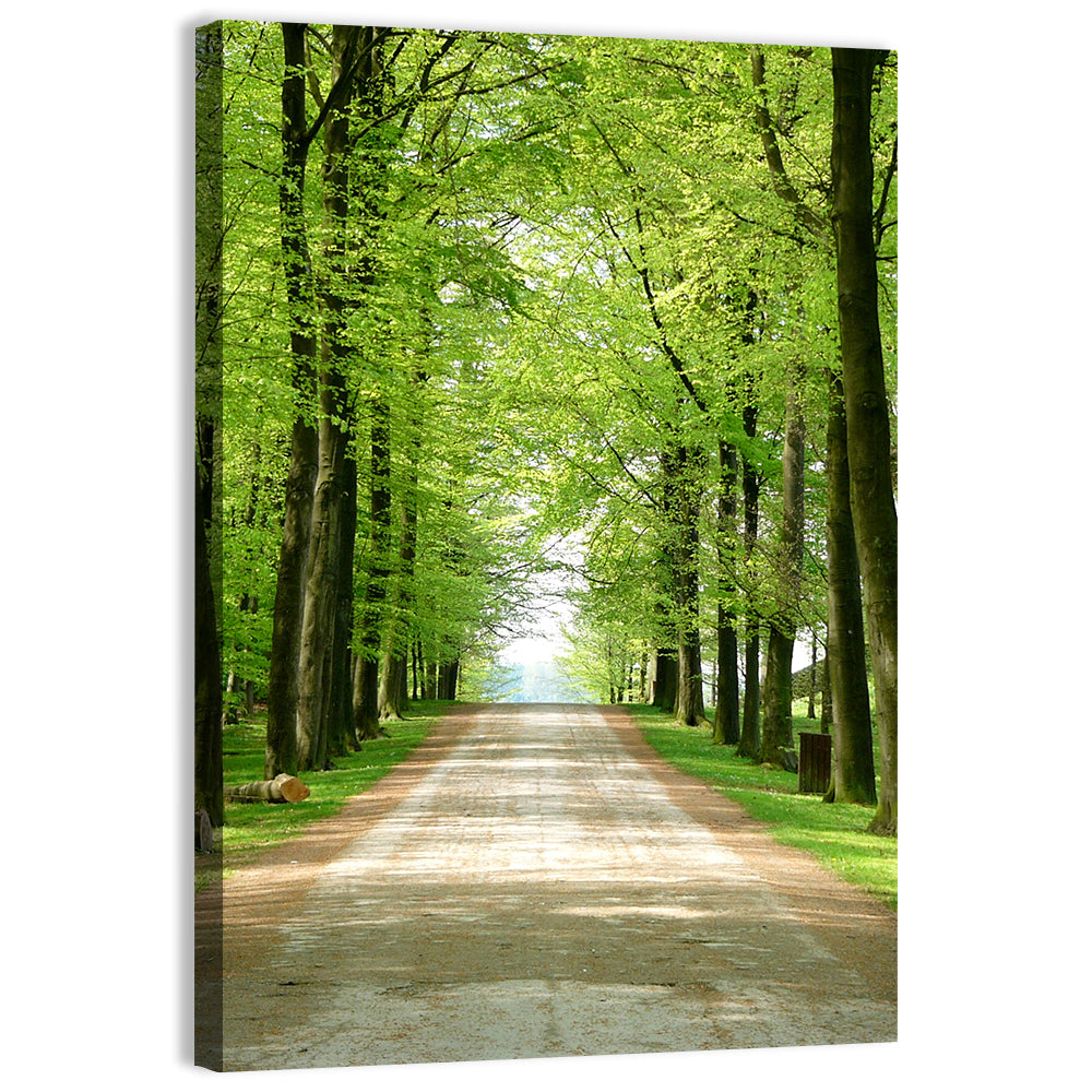 Sunlit Tree-lined Path Wall Art