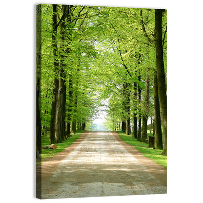 Sunlit Tree-lined Path Wall Art