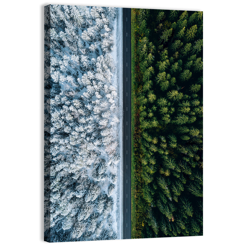 Summer and Winter Forests Wall Art